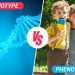 phenotype vs genotype