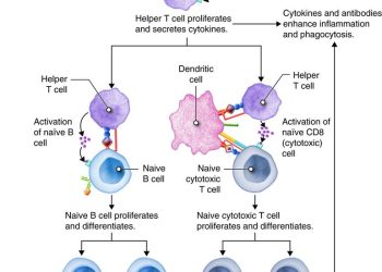 Unlocking Emotional Intelligence for Smarter Decision Making