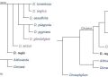 Revolutionizing Cladograms: The Influence of Recent Discoveries