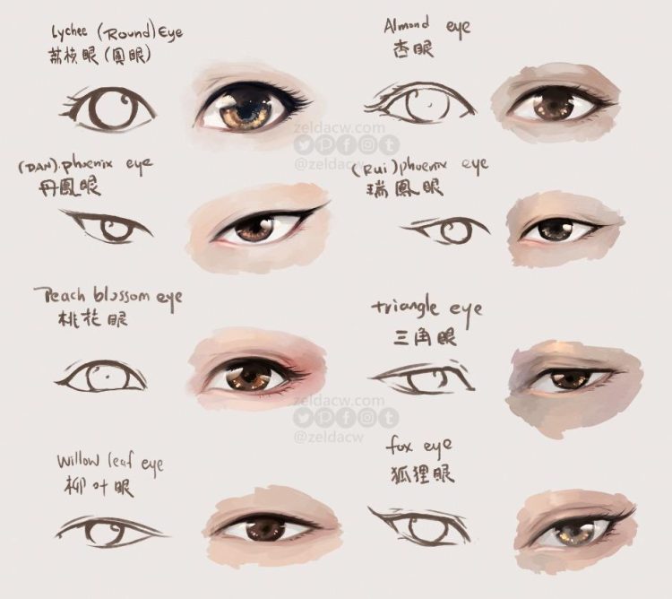 Comparing the Aesthetics of Chinese and Japanese Eye Shapes