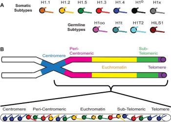 Demystifying AI: Machine Learning vs. Deep Learning
