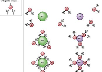 Exploring Water Properties: Cohesion, Adhesion, and Surface Tension