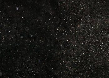 Exploring the Enigmatic Realm of Subatomic Particles