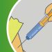 Comparing Vaccines and Immunoglobulins: Disease Prevention Strategies