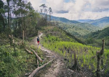 Balancing Act: Conservation vs. Preservation Strategies