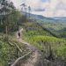 Balancing Act: Conservation vs. Preservation Strategies
