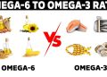 Optimizing Health: Achieving Balance with Omega-3 and Omega-6 Fatty Acids