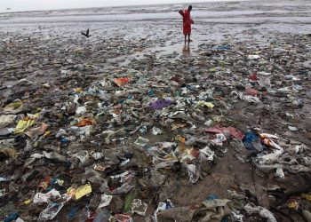 Eco-Friendly Solutions: Single-Use Plastics vs. Biodegradables