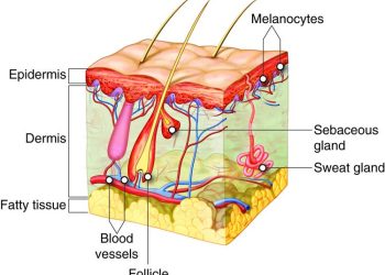 Navigating Global Supply Chain Risks