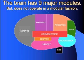 The Development of Communication: A Study in Language Evolution