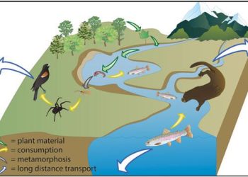 Comparing Biodiversity and Conservation in Freshwater and Saltwater Ecosystems