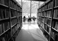 Unpacking the Source of Human Motivation