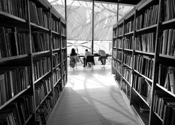 Unpacking the Source of Human Motivation