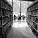 Unpacking the Source of Human Motivation