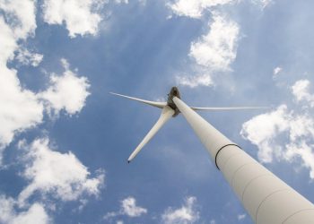 Choosing Between Electric and Hybrid Cars: A Comprehensive Guide