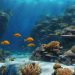 Safeguarding Marine Biodiversity: Securing Endangered Species
