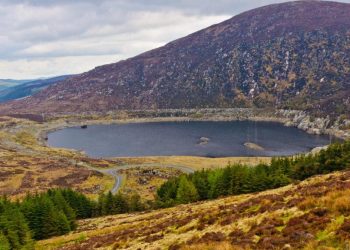 Comparing the Environmental Effects of Aromatic and Aliphatic Chemicals