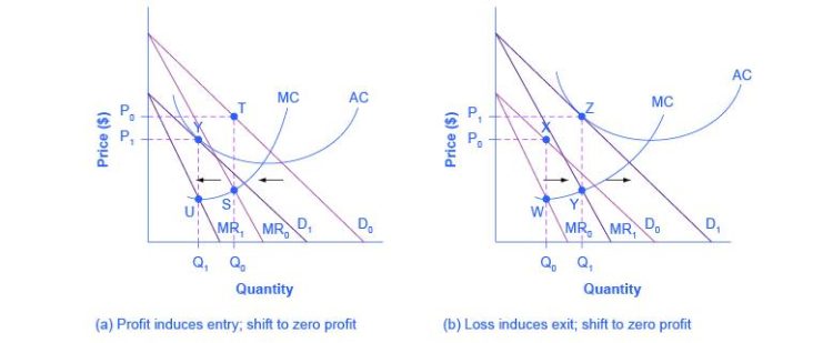 Market Power Analysis: Oligopoly vs. Monopolistic Competition