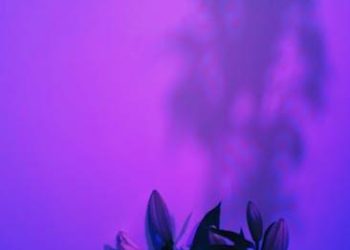 Unveiling the Intriguing World of Natural Aromatic Compounds