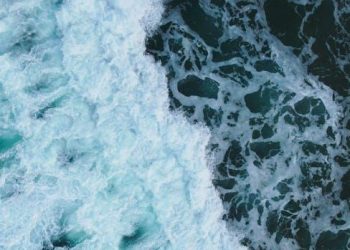 Exploring the Electromagnetic Spectrum