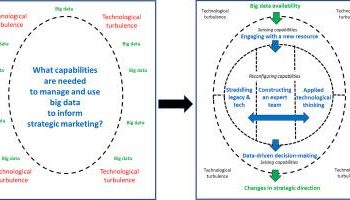 Optimizing Efficiency Through Supply Chain Analytics