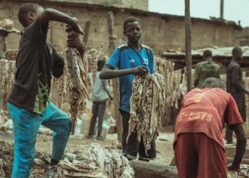 Navigating Ideological Divides in the Civil War