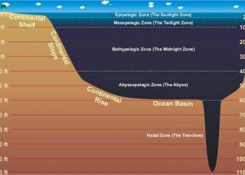 Uncovering the Secrets of Oceanic Trenches