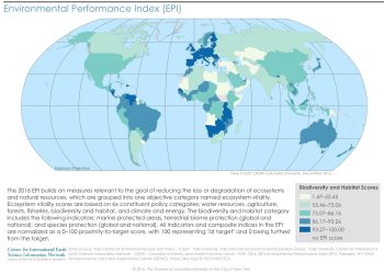 Unveiling the Truth Behind Superfoods