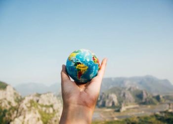 Choosing Between Solo Adventures and Group Tours