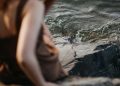 The Water Cycle: Earth’s Essential Recycling Process