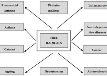 Comparing Antioxidants from Foods to Supplements