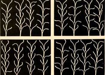 Understanding Emotional Bonds: Attachment Styles in Relationships