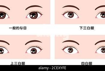 Enhancing Asian Eyes: Makeup Techniques for Various Shapes