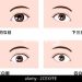 Enhancing Asian Eyes: Makeup Techniques for Various Shapes