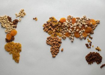 Mastering Eye Shapes: Key Photography Tips