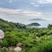 The Crucial Role of Mangroves in Marine Ecosystems