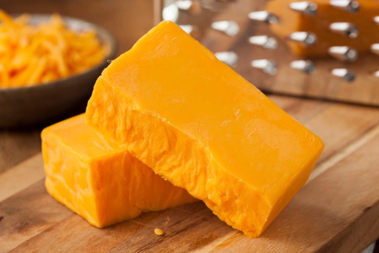 Comparing Cheddar and Mozzarella Cheese Making