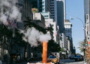 Comparing Government Systems: US Presidential vs. UK Parliamentary