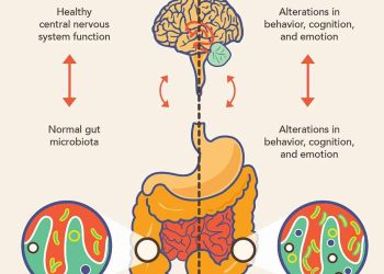 The Battle for Gut Health: Probiotics vs. Prebiotics