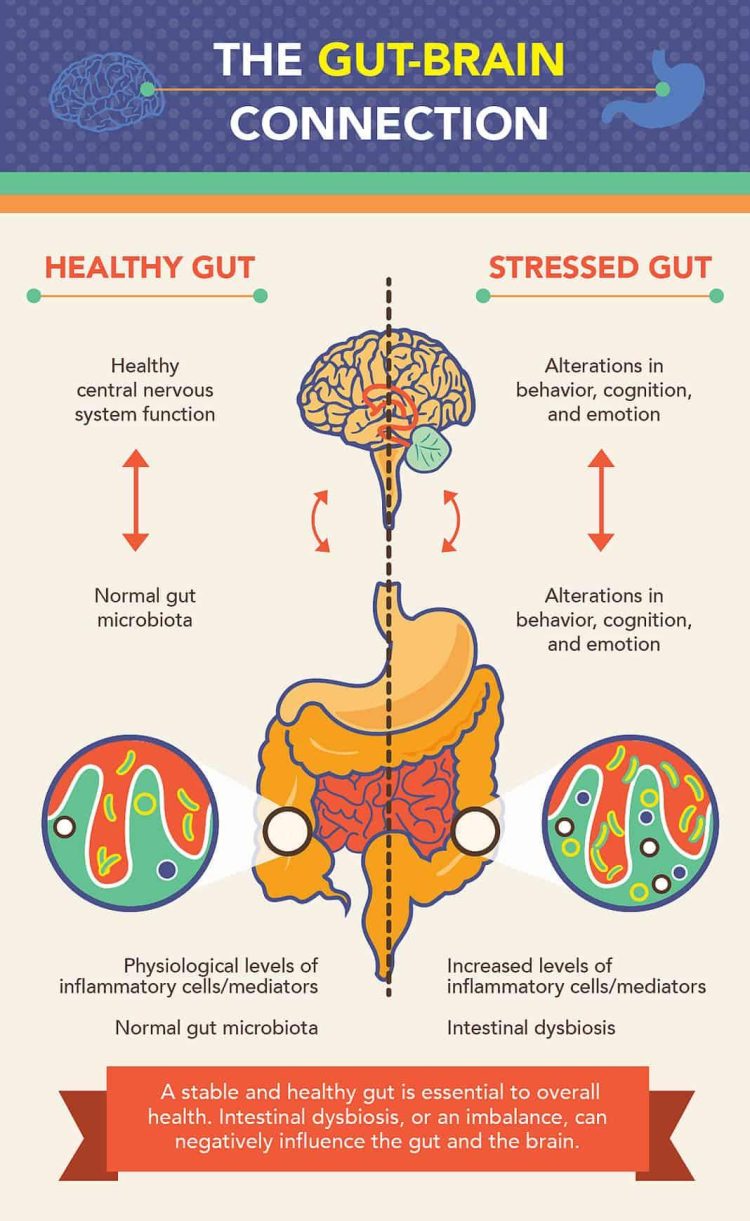 The Battle for Gut Health: Probiotics vs. Prebiotics