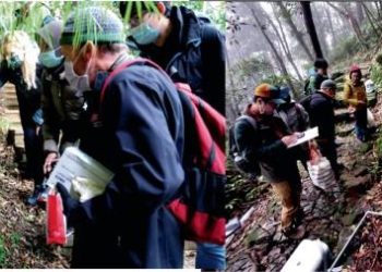 The Advantages of Outdoor Education for Young Children