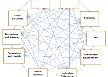 Comparing Humanities and Social Sciences: Perspectives on Society and Culture