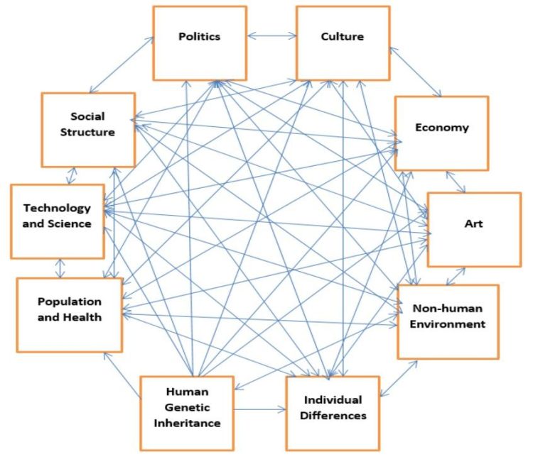 Comparing Humanities and Social Sciences: Perspectives on Society and Culture