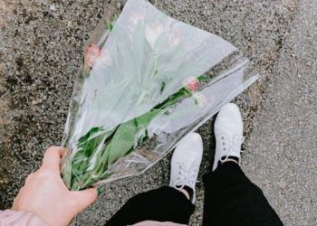 Exploring the Origins of Original Sin in Christianity