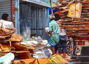 Exploring Tomorrow’s Eco-Friendly Alternatives