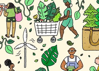 Building a Greener Tomorrow: The Role of Environmental Education