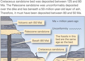Unveiling Earth’s History: Sedimentary vs. Metamorphic Rocks