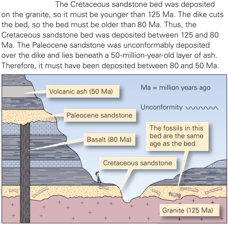 Unveiling Earth’s History: Sedimentary vs. Metamorphic Rocks