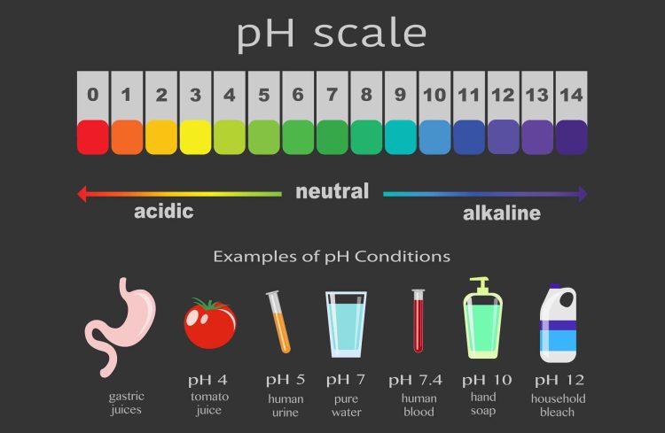 Understanding the pH Scale: Balancing Acids and Bases