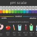 Understanding the pH Scale: Balancing Acids and Bases